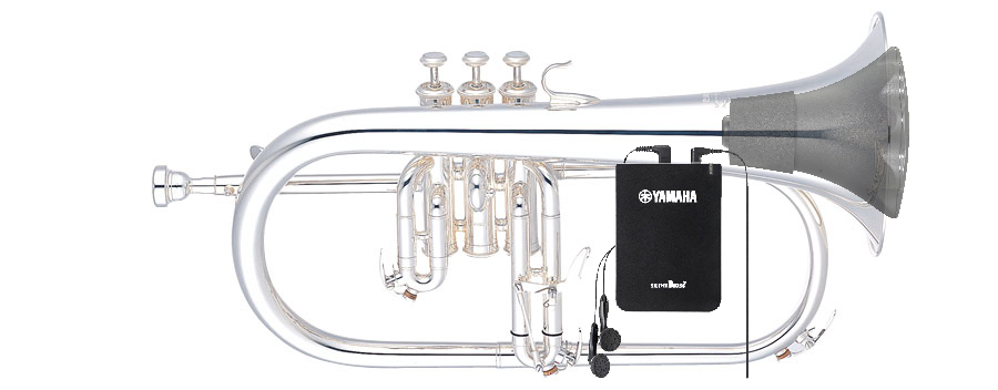 MrSilverTrumpet - Yamaha SB6X with Flugelhorn