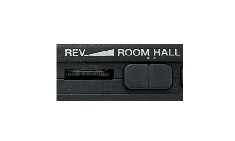 reverb hall switch